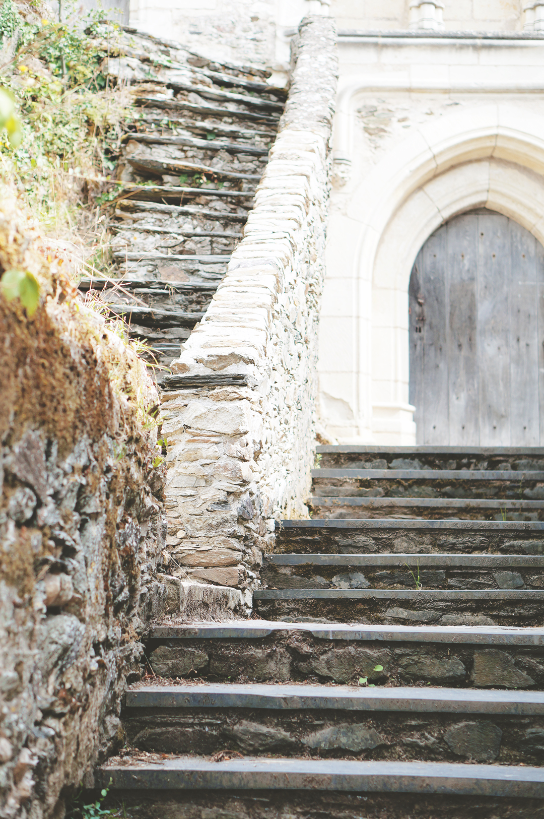 63_ile_behuard_angers_loire