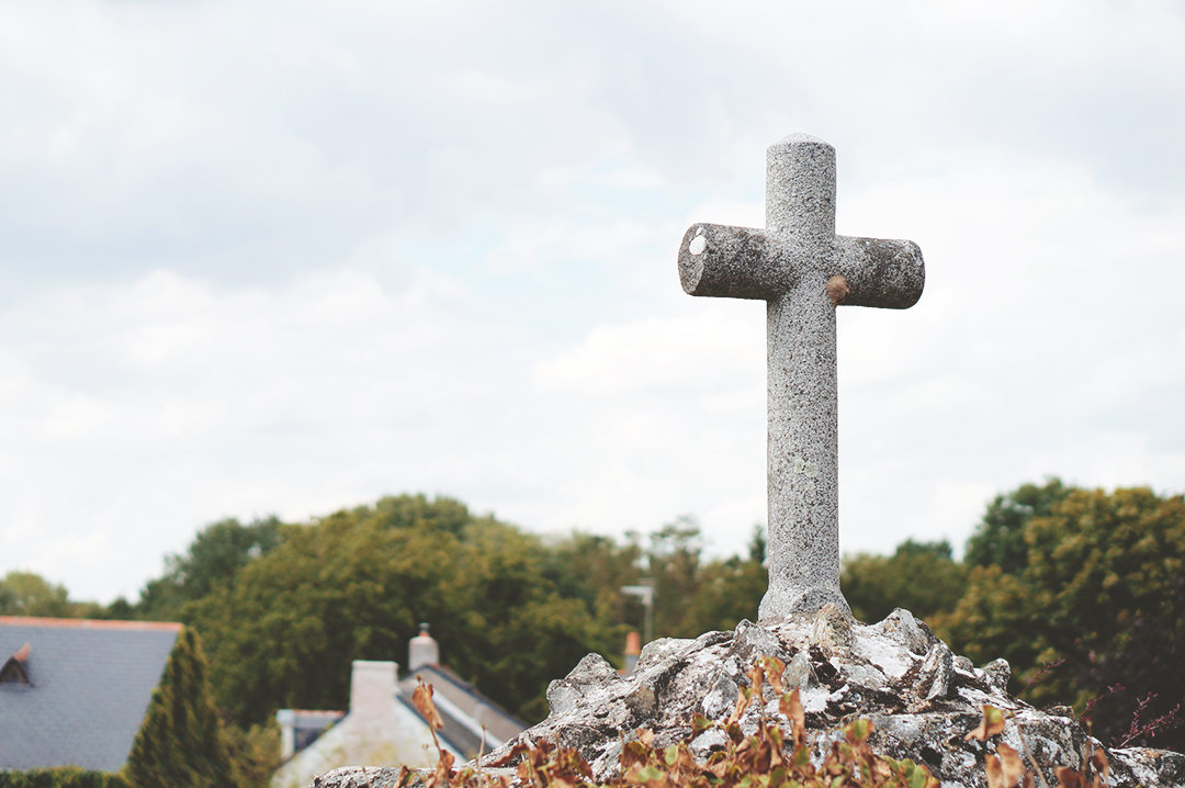 66_ile_behuard_angers_loire