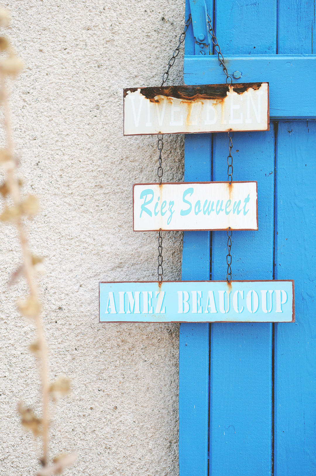 6_ile_behuard_angers_loire