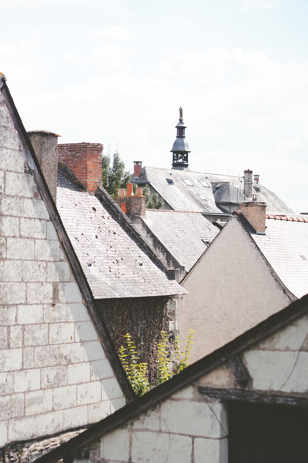 72_ile_behuard_angers_loire