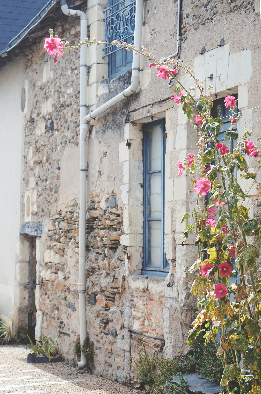 75_ile_behuard_angers_loire