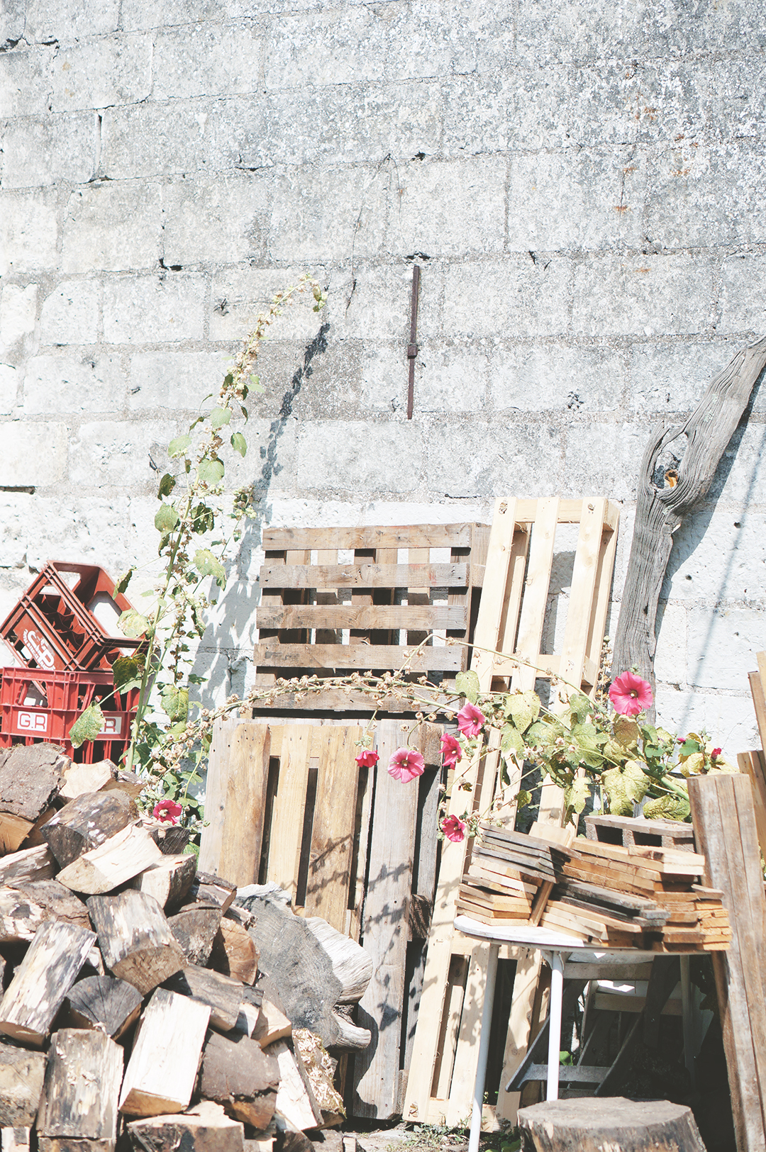 7_ile_behuard_angers_loire