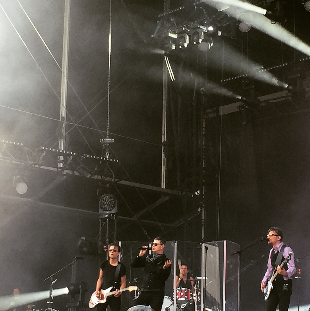 3_rock_en_seine_2015_etienne_daho