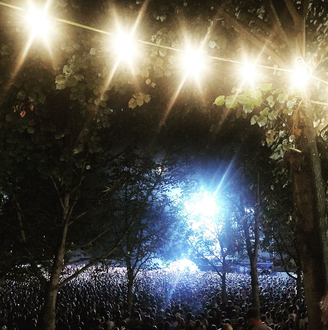 6_rock_en_seine_2015_the_chemical_brothers