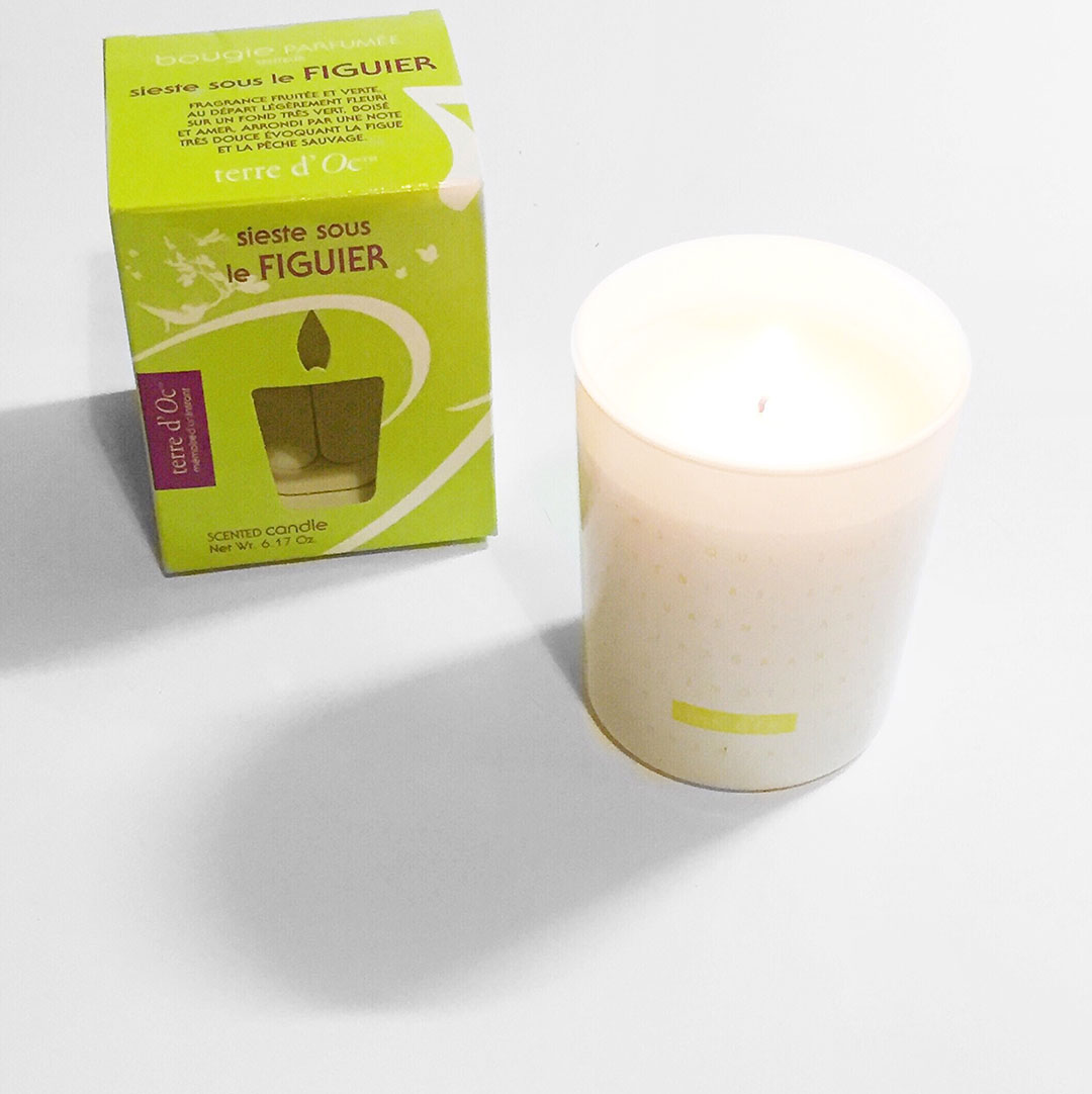 15_bougie_terre_doc_nature_decouvertes_figuier