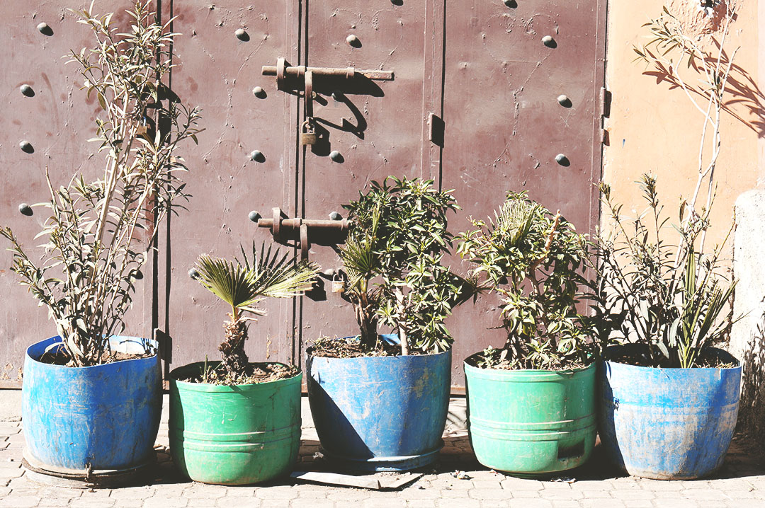 16_24h_marrakech_que_faire_souk