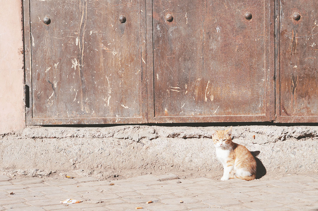 24_24h_marrakech_que_faire_cafe_des_epices