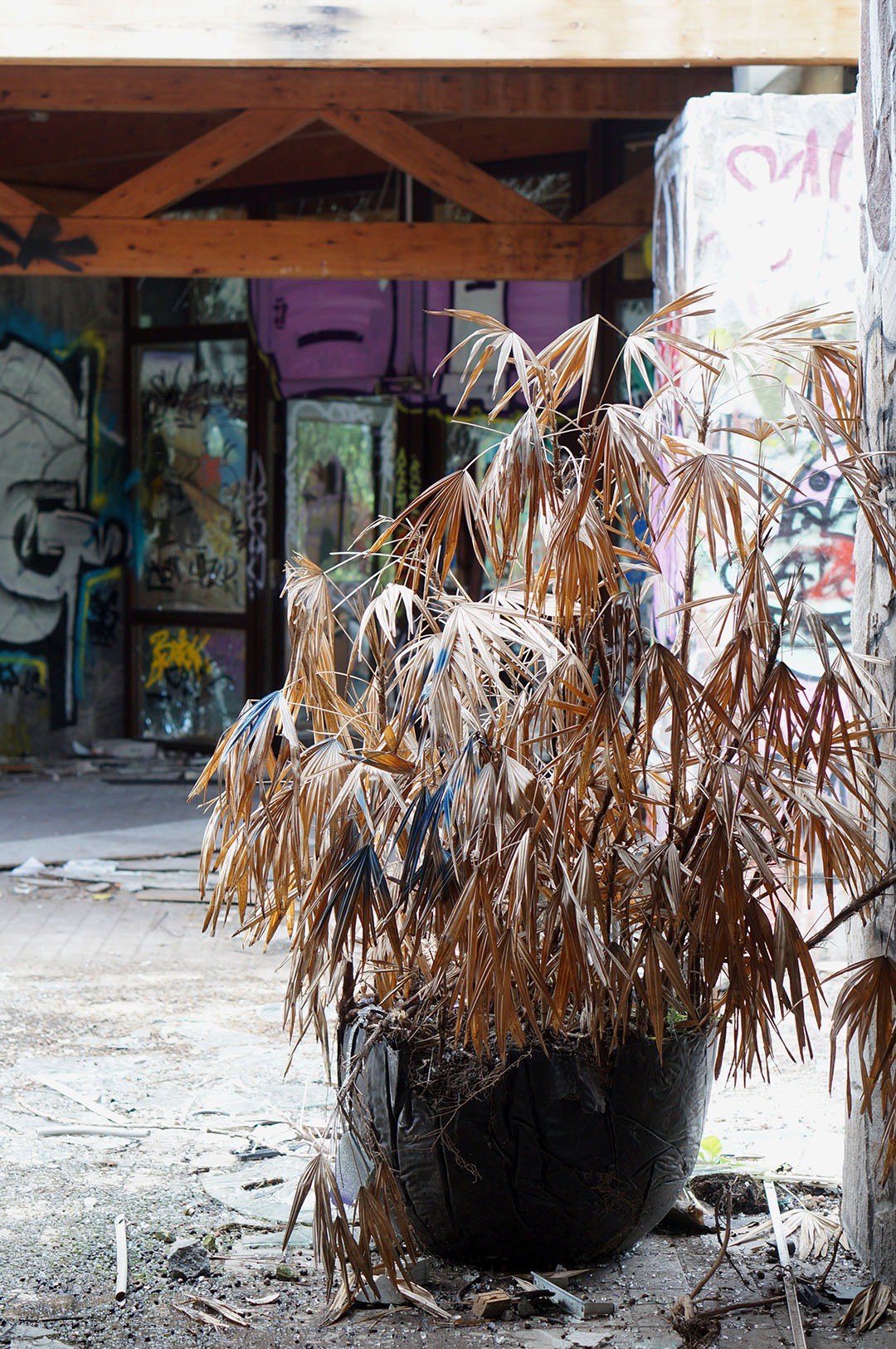 34_urbex_berlin_blub