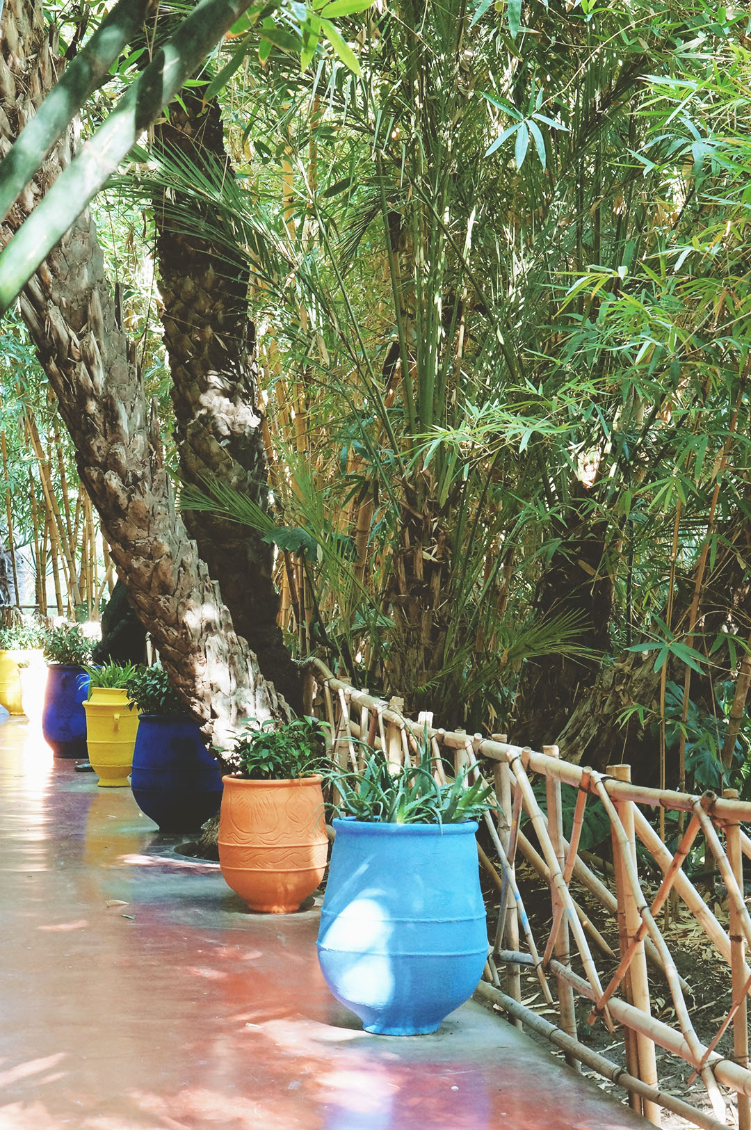 3_24h_marrakech_que_faire_majorelle