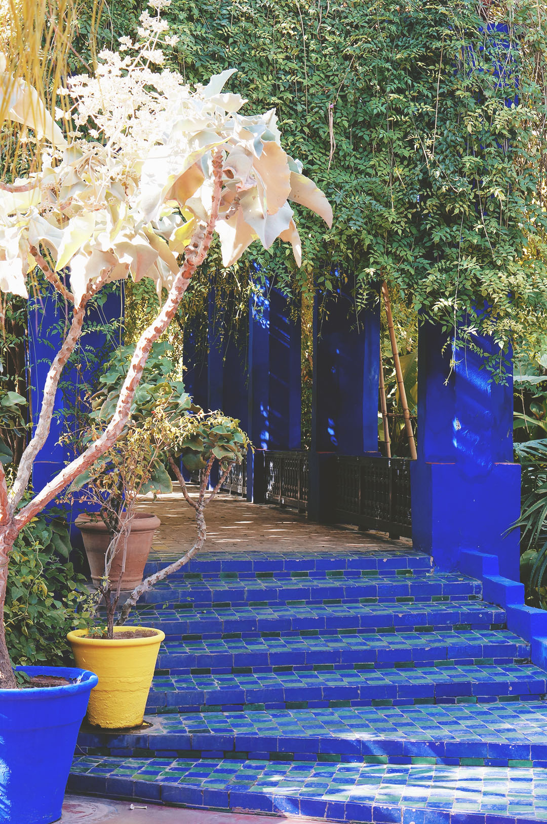 4_24h_marrakech_que_faire_majorelle