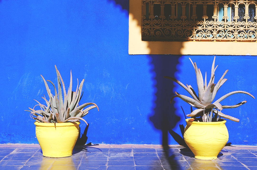 7_24h_marrakech_que_faire_majorelle