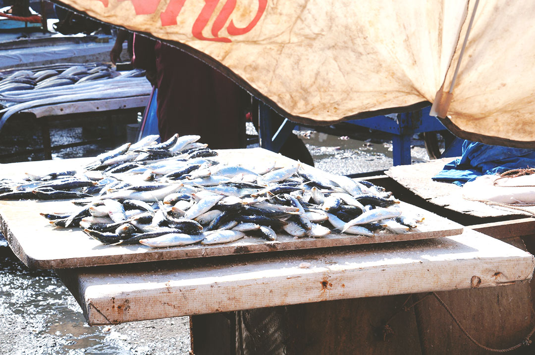 7_a_savoir_et_prevoir_avant_de_partir_maroc