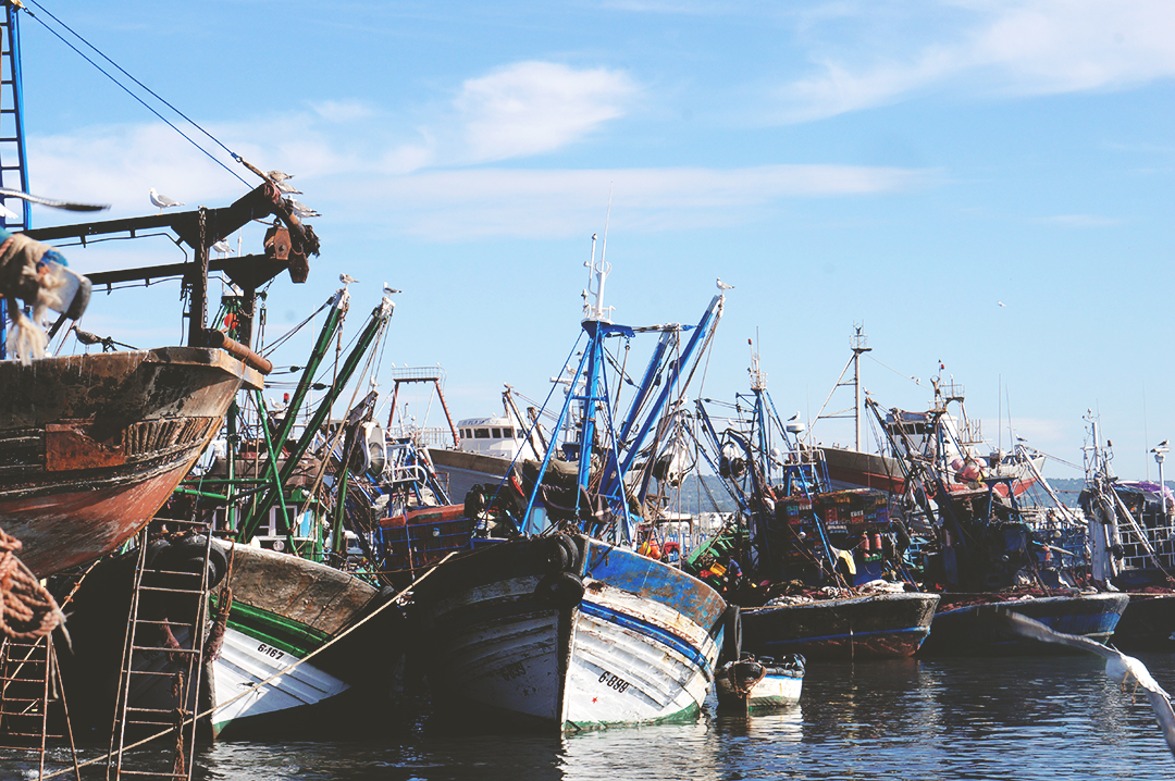 13_blog_voyage_maroc_essaouira