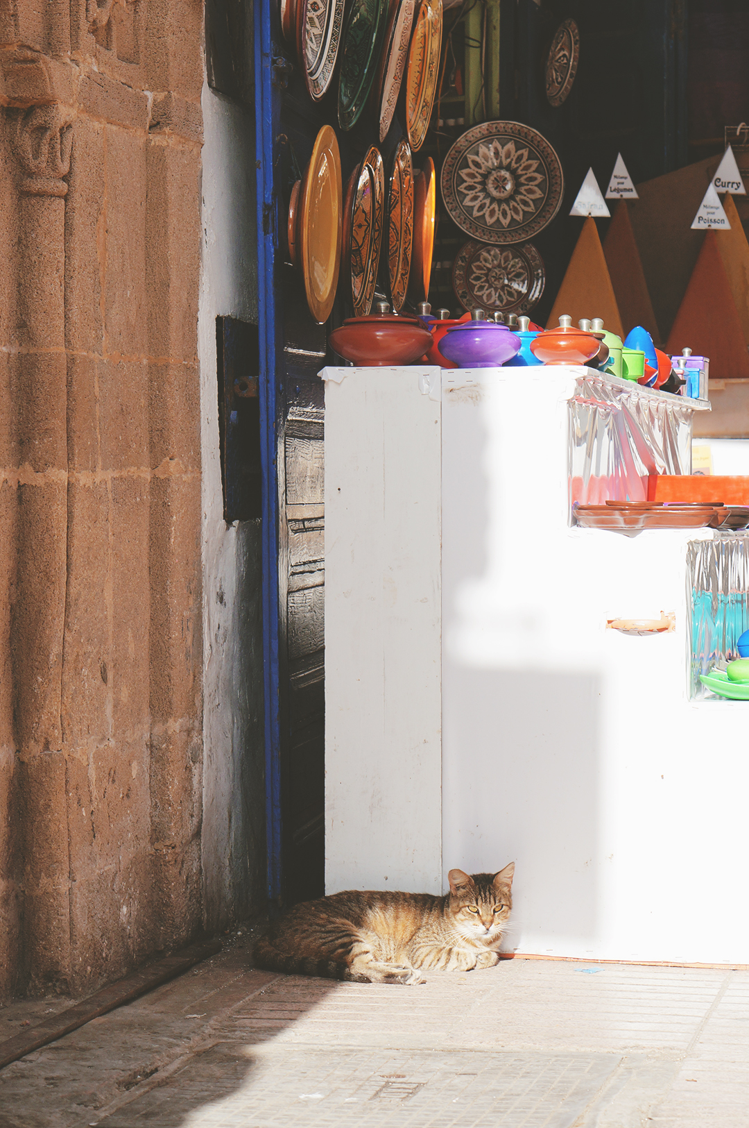 21_blog_voyage_maroc_photos_animaux