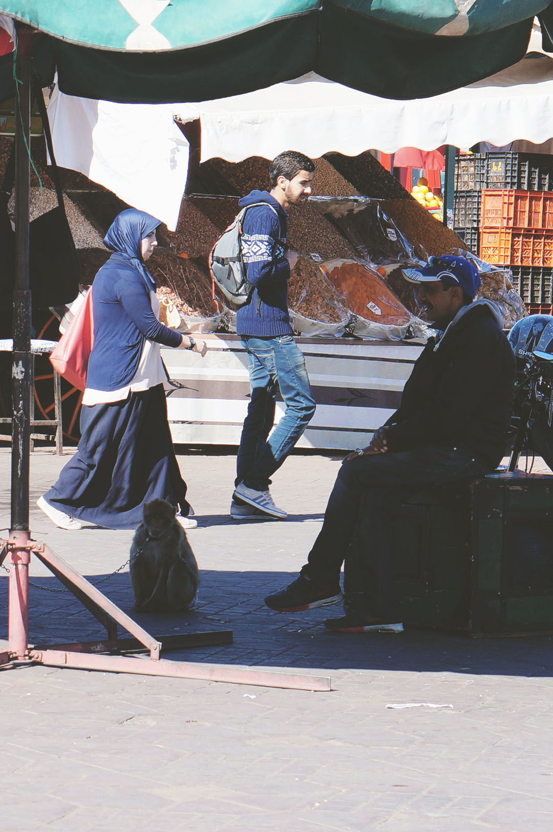 2_blog_voyage_maroc_photos_animaux