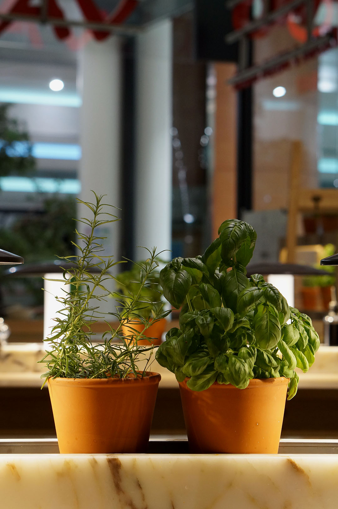 7_avis_restaurant_vapiano_nantes_atlantis