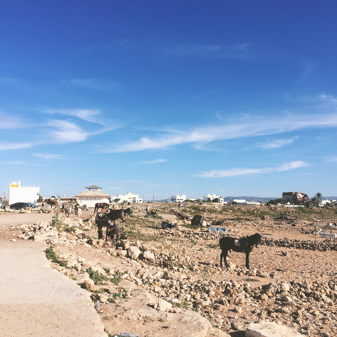 19_blog_voyage_essaouira_sidi_kaouki