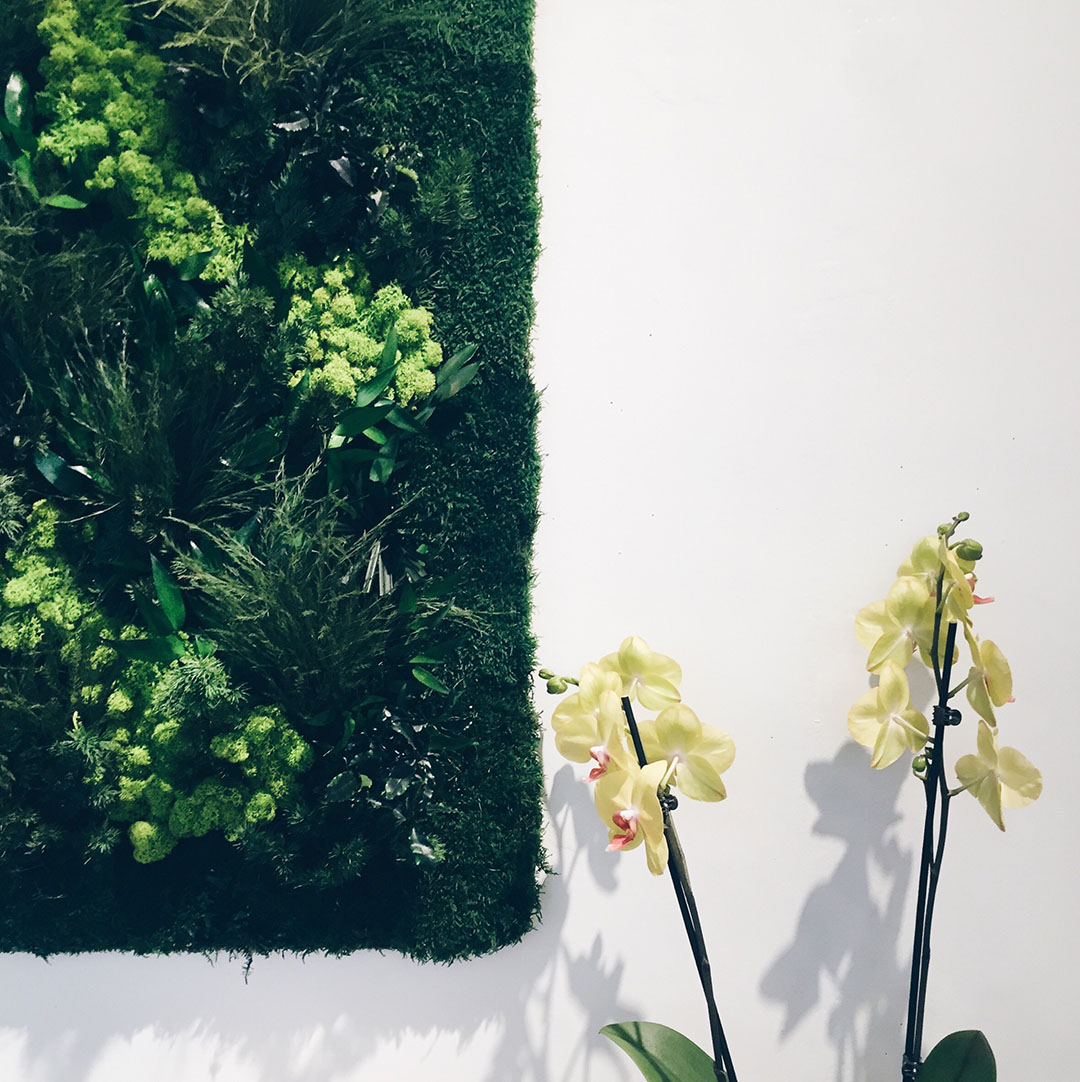 5_jardinerie_jane_nantes