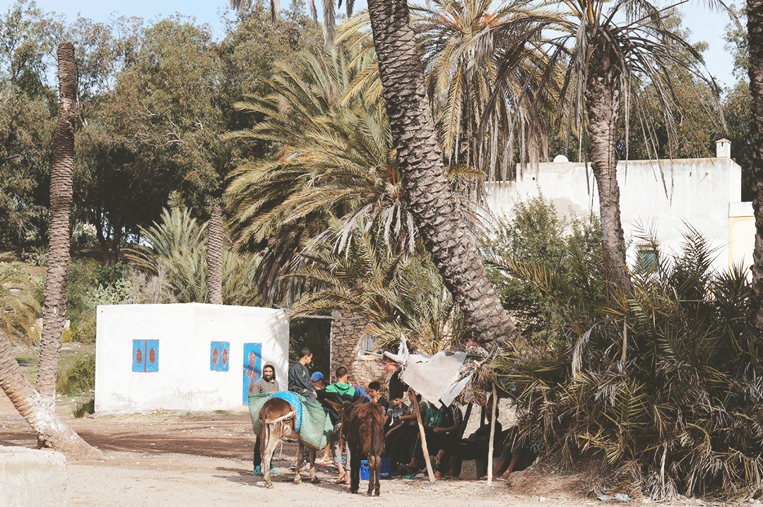 6_blog_voyage_essaouira_ain_lahjar