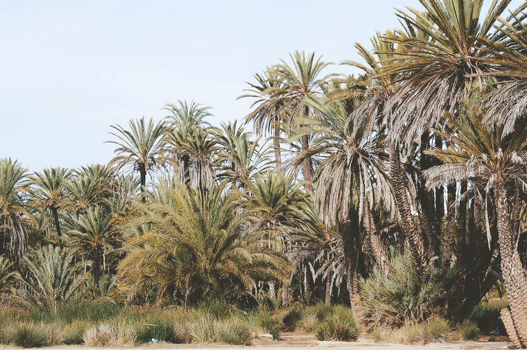 7_blog_voyage_essaouira_ain_lahjar