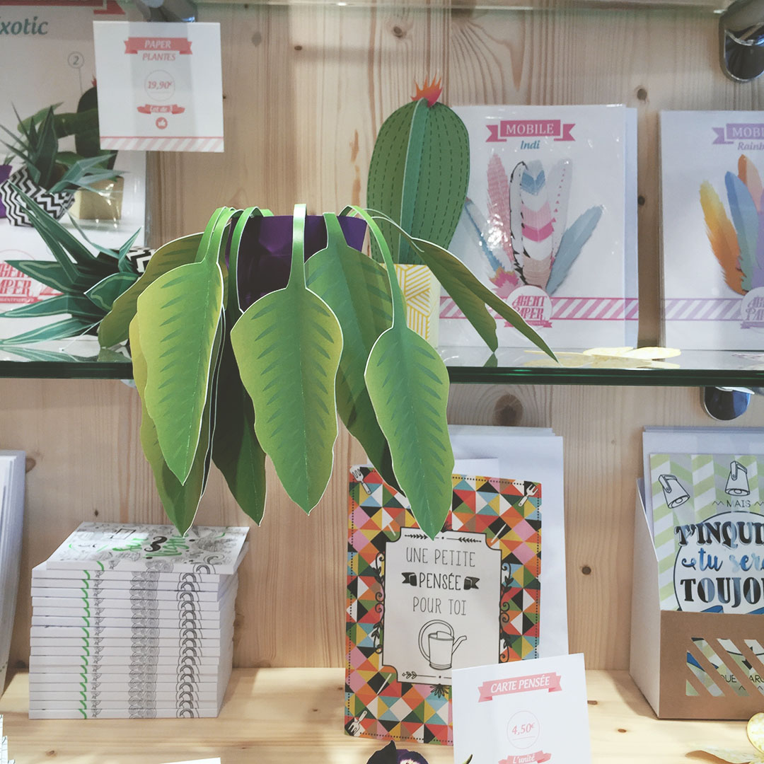 6_boutique_agent_paper_nantes