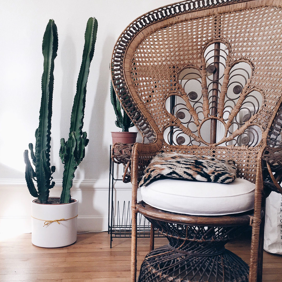 3_deco-cactus-geant-nantes-fauteuil-emmanuelle